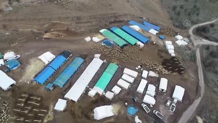 Kuzu doğumları ve yoğun yağışlar üreticilere moral oldu