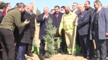 Sanayi ve Teknoloji Bakanı Varank, Merzifon OSB bahçesinde ağaç dikti