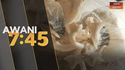 Pengusaha cendawan jadi contoh generasi kedua boleh berjaya