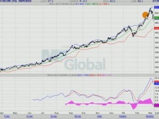 COLZA EURONEXT 08.03.08