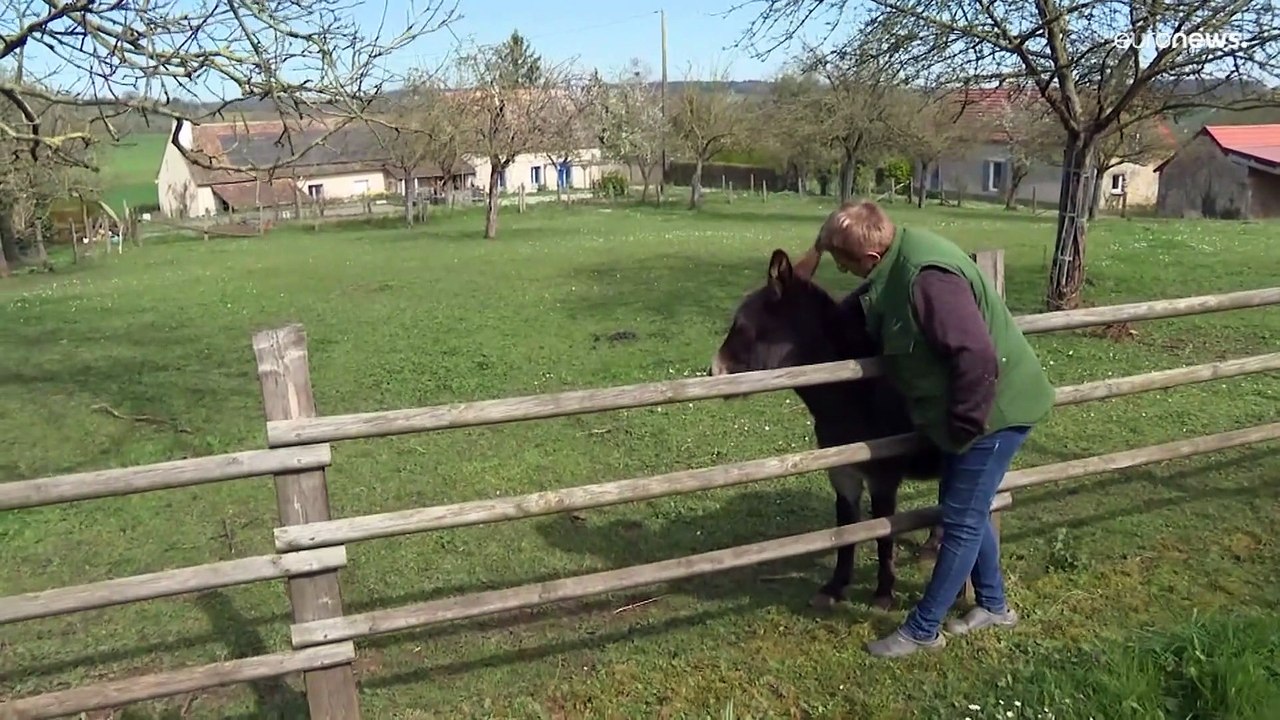 Aumento dei prezzi di energia e cereali: i timori degli agricoltori francesi