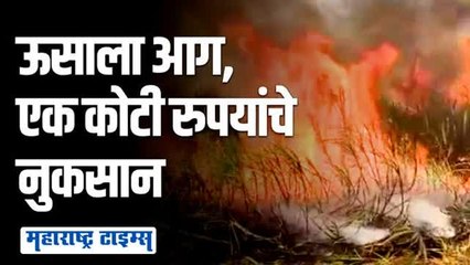 20 एकर ऊस जळून खाक; शेतकऱ्यांनी दिला आत्मदहनाचा इशारा