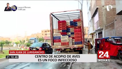 SJL: vecinos se quejan del mal olor y contaminación que genera centro de acopio de pollos