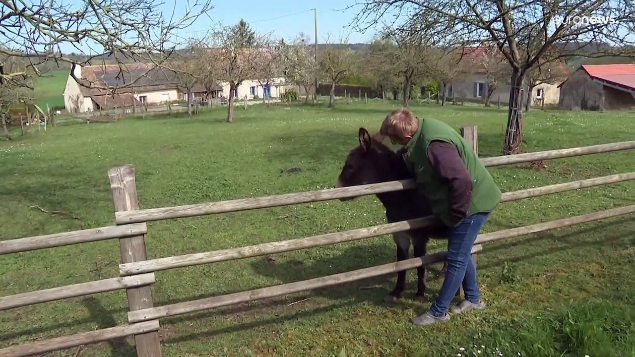 Französische Landwirte leiden unter den Folgen der Sanktionen