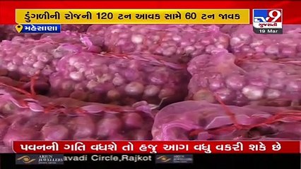 Onion makes Mehsana farmers in tough times _Gujarat _TV9GujaratiNews