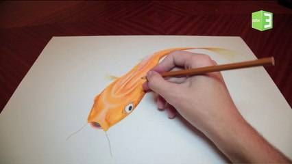 هكذا يمكنك رسم سمكة ثلاثية الأبعاد