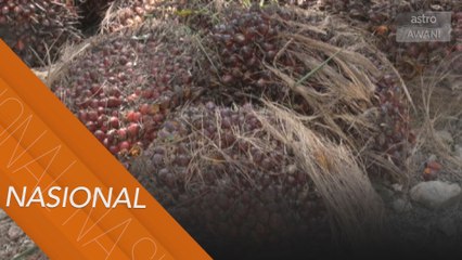 Generasi baharu Felda perlukan perhatian kerajaan