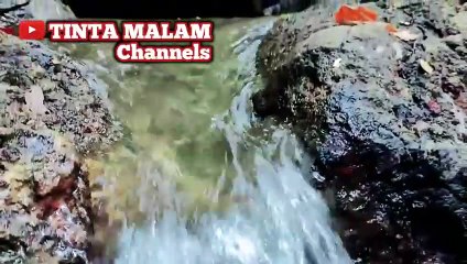 ibu ku sendiri dan budheku kisah cerita nyata kehidupan sehari-hari