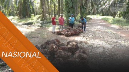 Generasi baharu Felda perlukan perhatian kerajaan