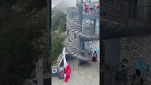 Monkeys Attack Tourists at Gibraltar