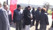 CHP'li Ağbaba ve Özel, Bodrum'da orman köylüsüne zeytin fidanı dağıttı