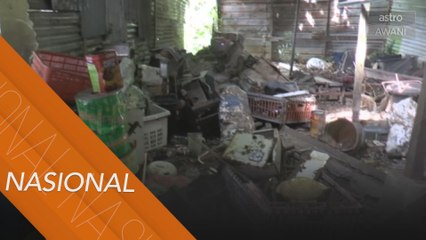 Empat kilang kotor, jijik, diarah tutup 14 hari