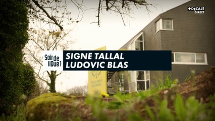 Signé Tallal : Ludovic Blas