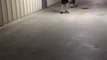Guy Crashes Into Wall While Skateboarding and Falls Down