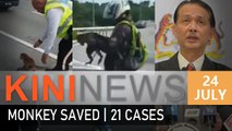 #KiniNews: 21 new Covid-19 cases; cops save monkey from highway