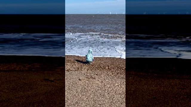 Little Boy Gets Caught up in Waves on Beach