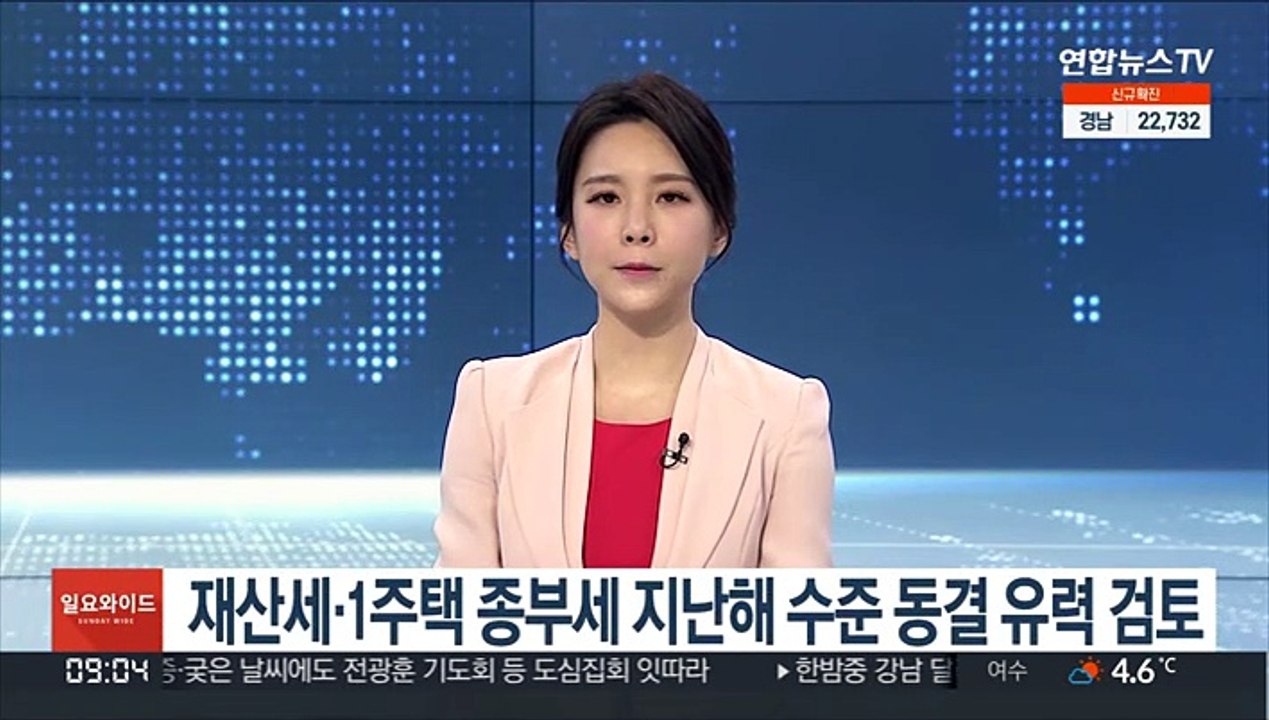 재산세·1주택 종부세 지난해 수준 동결 유력 검토