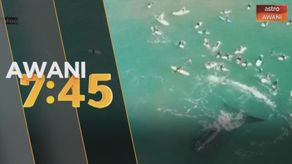 Dua wanita cedera parah selepas dilibas ikan paus