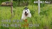 [HOT] Dog she'd win on the market!,신비한TV 서프라이즈 220320