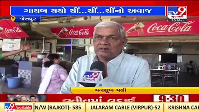 World Sparrow Day_ Restaurant owner provides shelter to sparrows by building 250 nests in Jetpur _