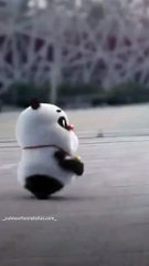 Mein ja raha hu Durr song status  Cute panda  status || All in one status  || latest cute status ||