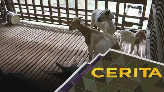 Cerita Sebalik Berita: Realiti usahawan IKS di Dun Slim