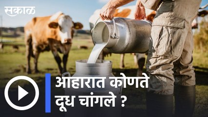 Milk | आहारात कोणते दूध चांगले ? | Sakal |