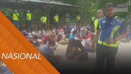 76 individu ditahan terlibat judi sabung ayam, bola golek & belangkas