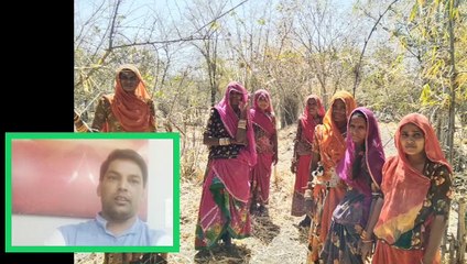 पढ़े इन महिलाओं की कहानी, बंजर जमीन को जंगल में बदल दिया