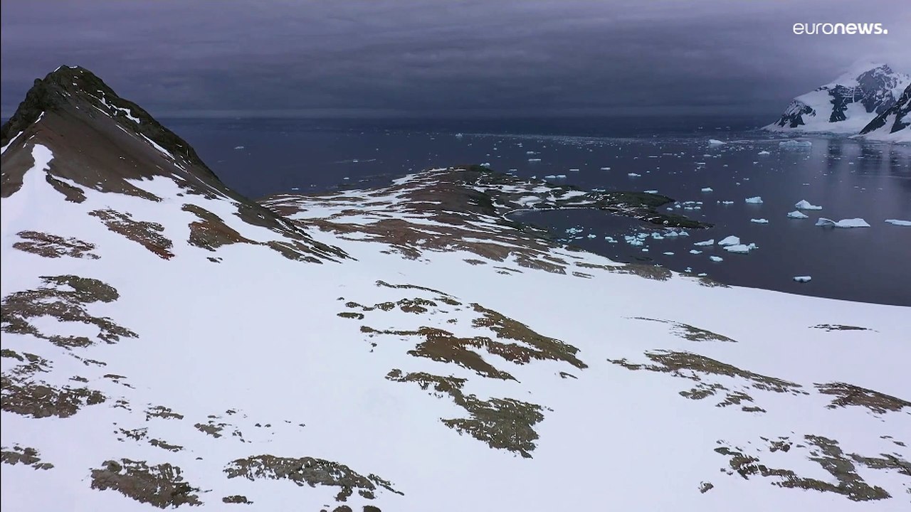 'Hitzewelle' in der Antarktis: Temperatur mehr als 30ºC über dem Durchschnitt