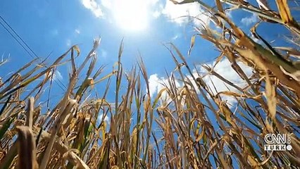 Çiftçiye güneş enerjisi desteği geliyor