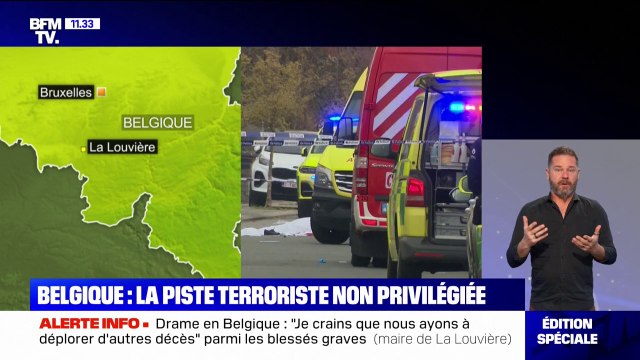 J'ai entendu beaucoup de cris, c'était l'horreur : après qu'une voiture a foncé dans la foule d'un carnaval en Belgique, une habitante témoigne