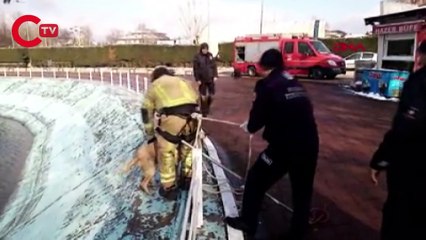 İtfaiye eri, göletten kurtardığı köpeği montuyla ısıttı