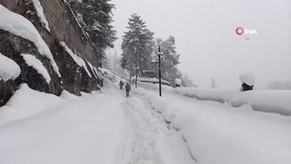 Bitlis'te 248 köy yolu ulaşıma kapandı