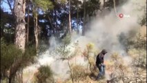 Korkutan gelişme! Muğla’da orman yangını