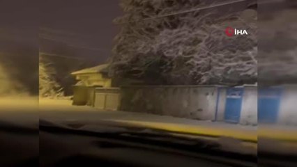 Aç kalan kurt, ilçe merkezine indi