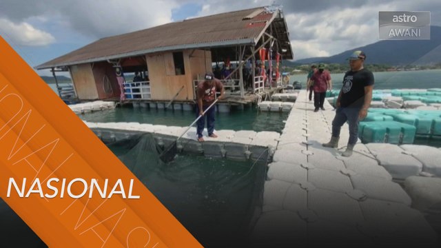 Dron air memudahkan penternakan ikan sangkar