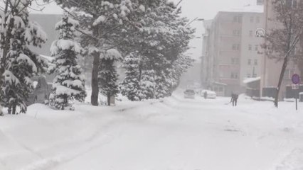Doğu Anadolu'da ilkbaharda yoğun kar etkili oldu