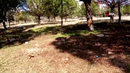 Kemikleri bulunmuştu, DNA’sı eşleşti! Yunus Dönertaş'ın ölümüne ilişkin yeni detaylar ortaya çıktı