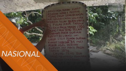 Asal usul Durian Kunyit