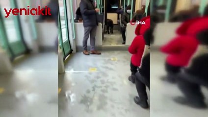 İstanbul'da sokak köpeğinin tramvay yolculuğu! Görüntüler viral oldu