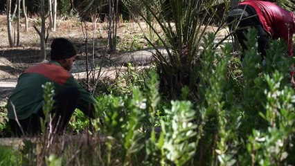 احياء واحة نفطة التونسية المهددة بالجفاف من خلال مطبخها وبعض الابتكارات