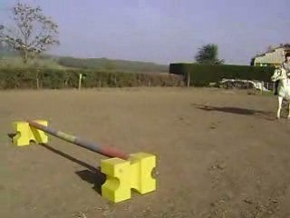 Saut d'obstacle 2
