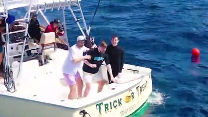 Would You Swim With Sharks For $100,000?
