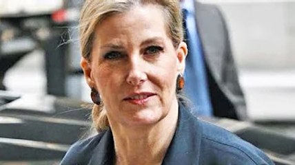 Sophie Wessex boosts royals with huge success in US after Meghan and Harry 'damage'