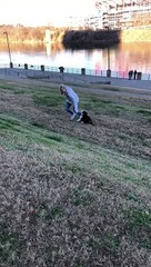 Playful Pupper Rolls Backward on Hill
