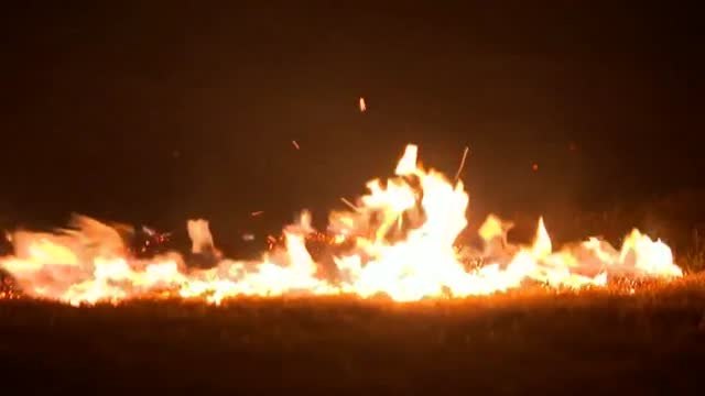 Una serie de incendios forestales arrasa 153 mil hectáreas de terreno en Texas