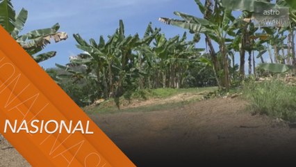 Sekolah usahakan tanah terbiar untuk sumber kewangan