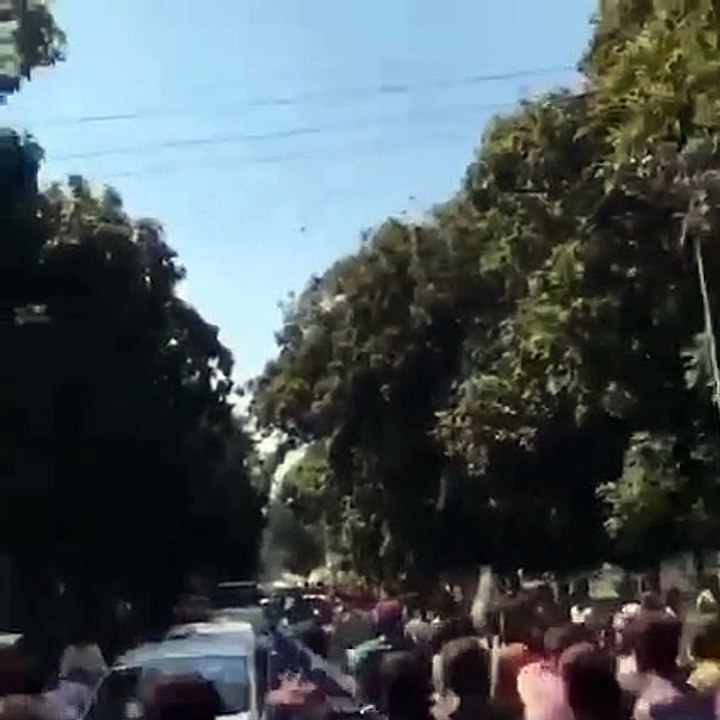 holi