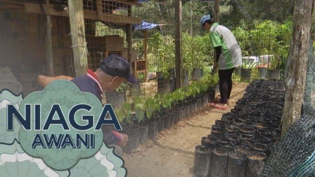 Niaga AWANI: Pelancongan dan pertanian Sabah antara fokus kerajaan negeri
